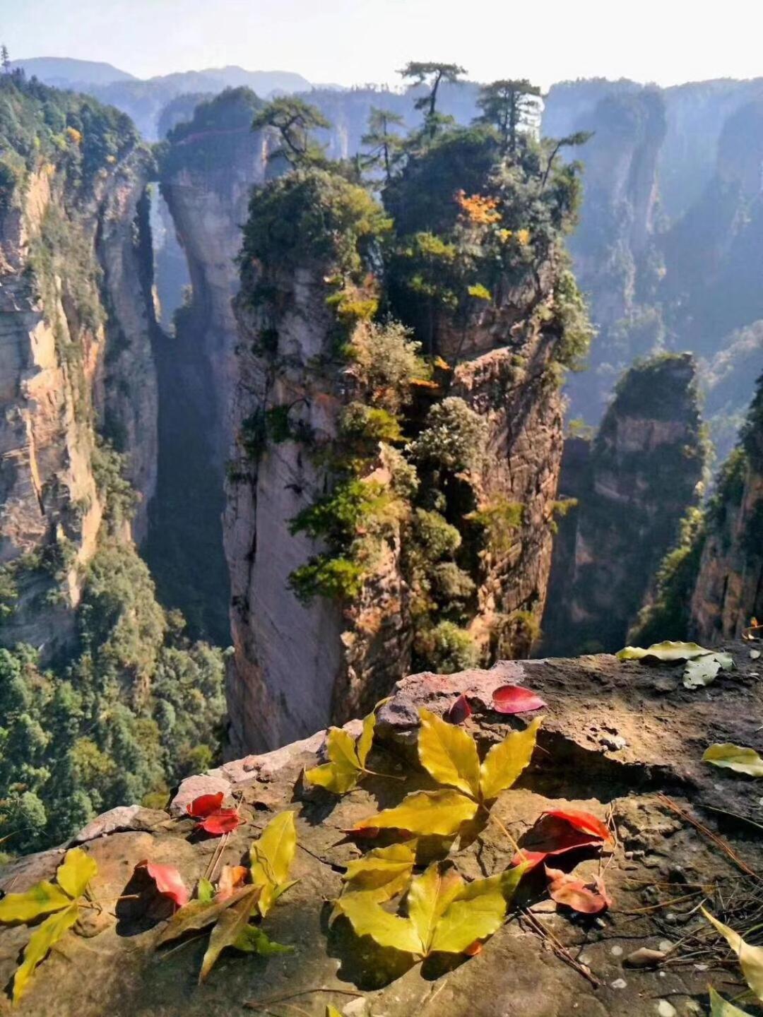 Tongfu Inn Zhangjiajie Extérieur photo